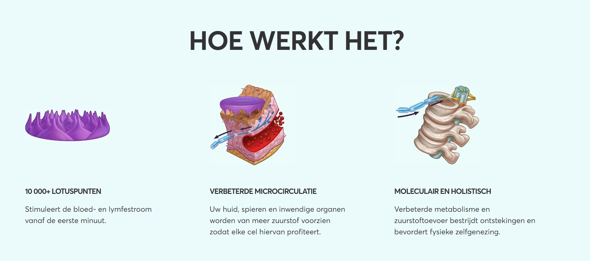 Pranamat eco hoe het werkt