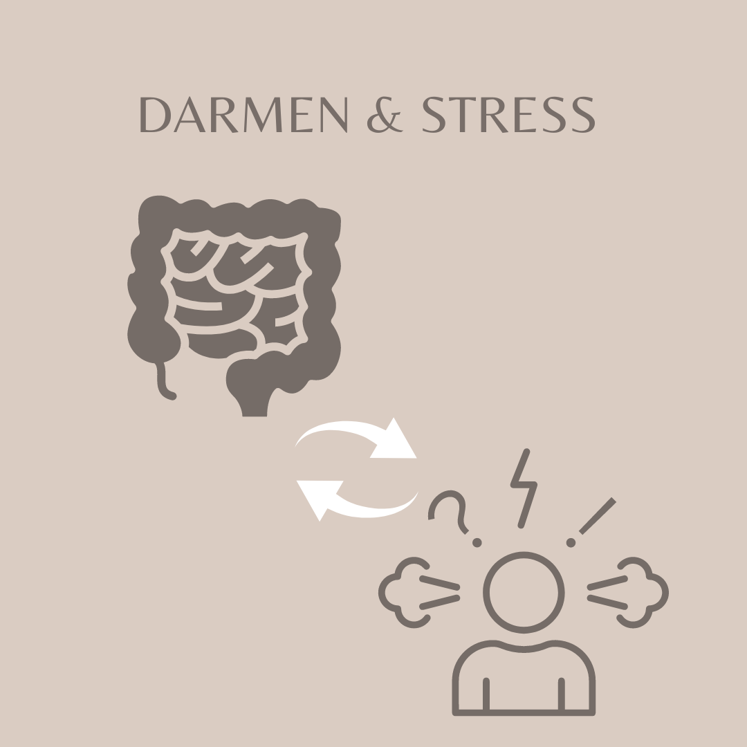 stress en darmen